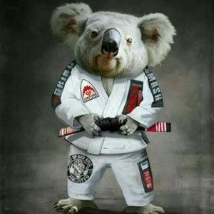 Meet your Posher, Leonardo